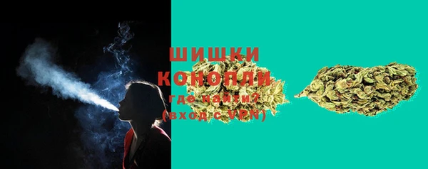 дурь Козловка