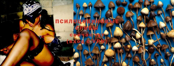 дурь Козловка