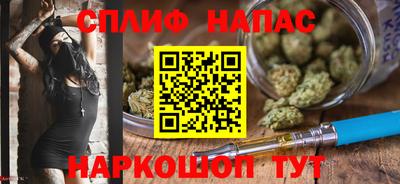 дмт Дубна