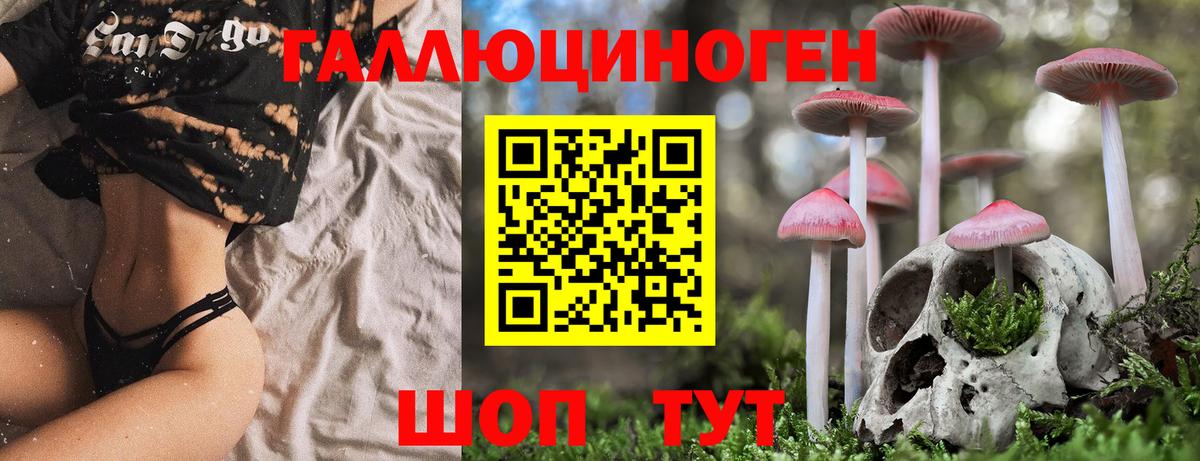 Галлюциногенные грибы Cubensis  хочу наркоту  Обь  Вход с VPN 